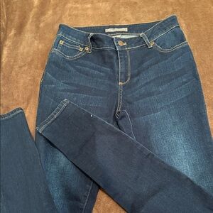 Garnet Hill Dark Blue Skinny Jeans